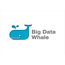 Big Whale Data Network