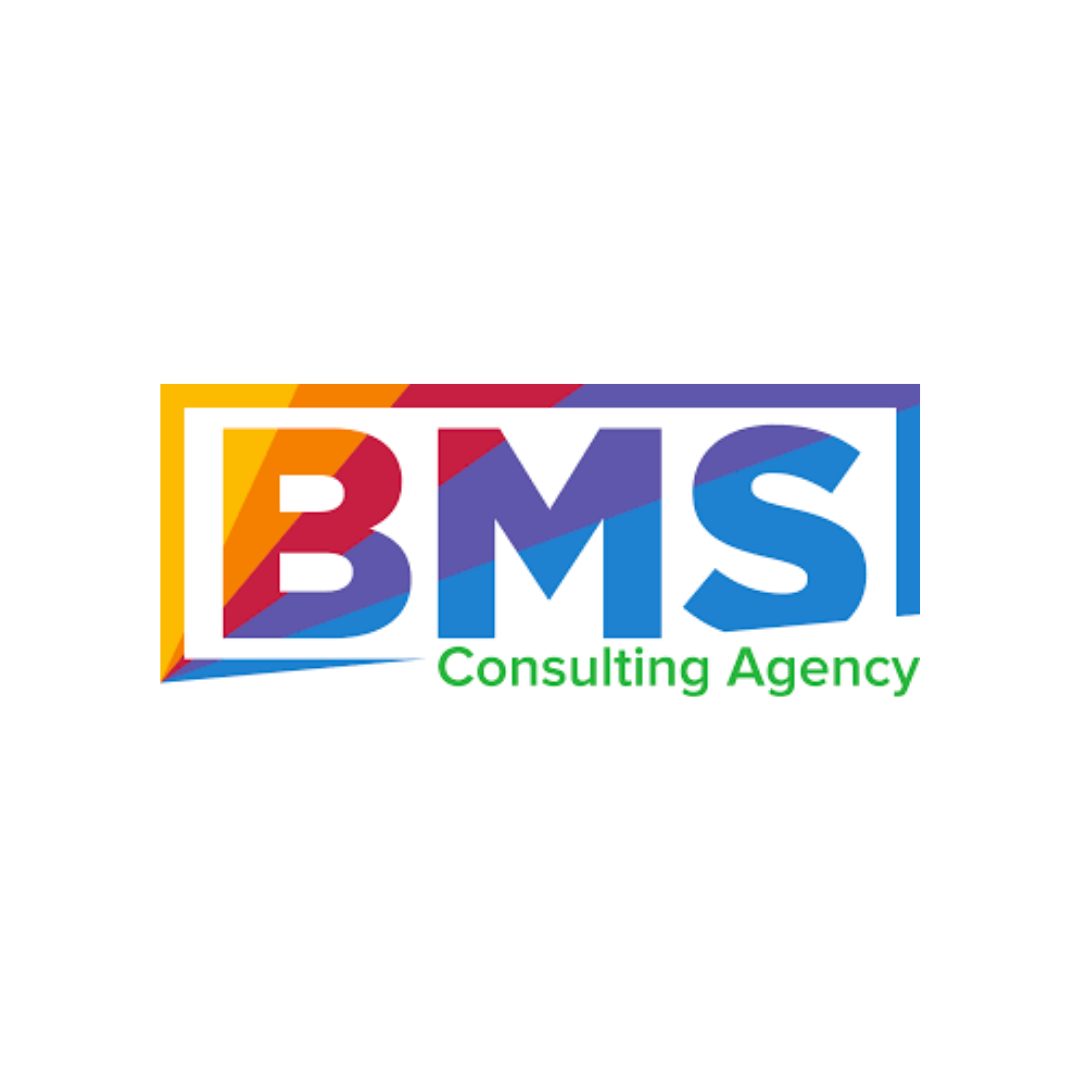 BMS Consulting Agency