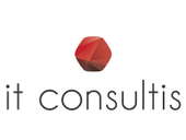 IT Consultis