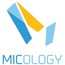 MICology Limited