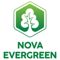 Nova Evergreen