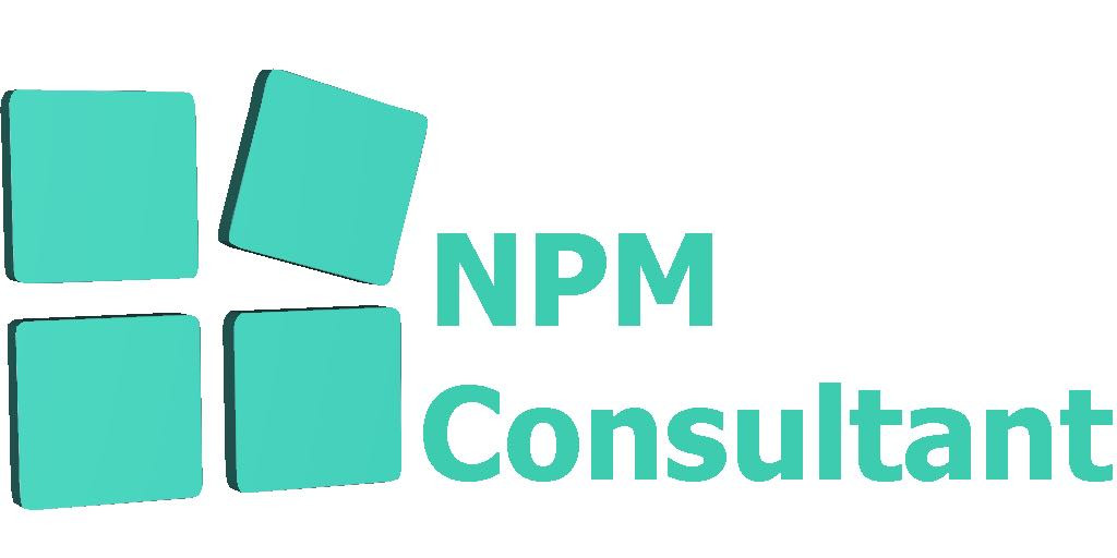 NPM CONSULTANT