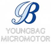 YOUNGBAG MICROMOTOR VIỆT NAM